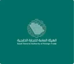 فيديو